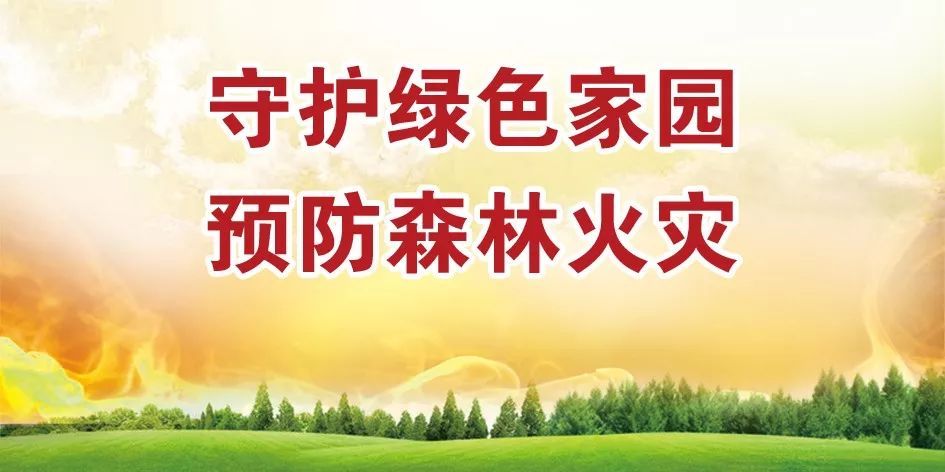 bcbb0363ac6292d0075312bf6ee66f3d.jpg 02.jpg