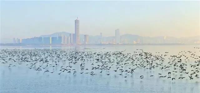 9697579406b691c73eeeb817abd12be3.jpg 05.jpg