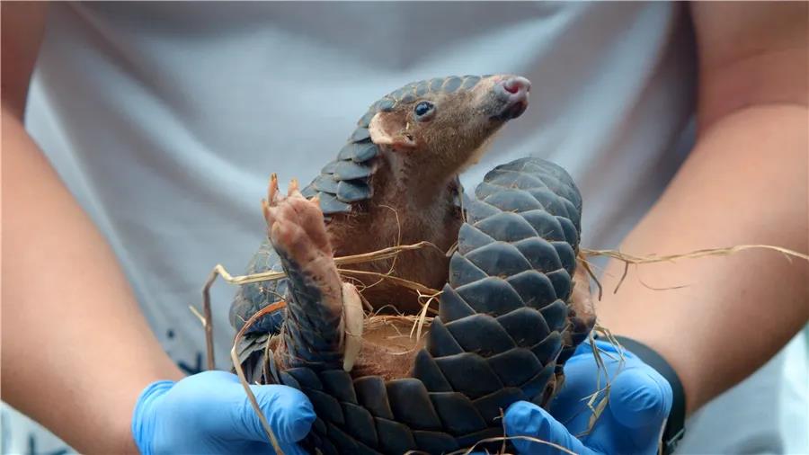 2a1493432661c816f20e1f8bbca5a37f.jpg 003.jpg