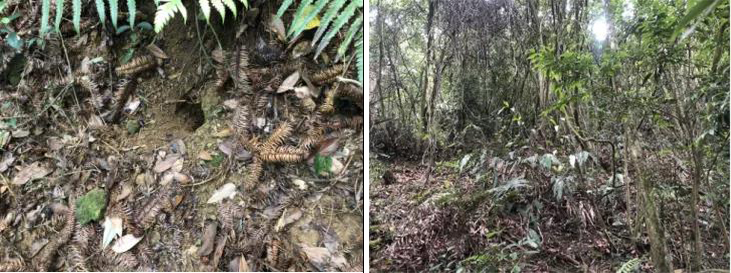 b8da560656713cc3192a8dba02bafa13.jpg 101.jpg