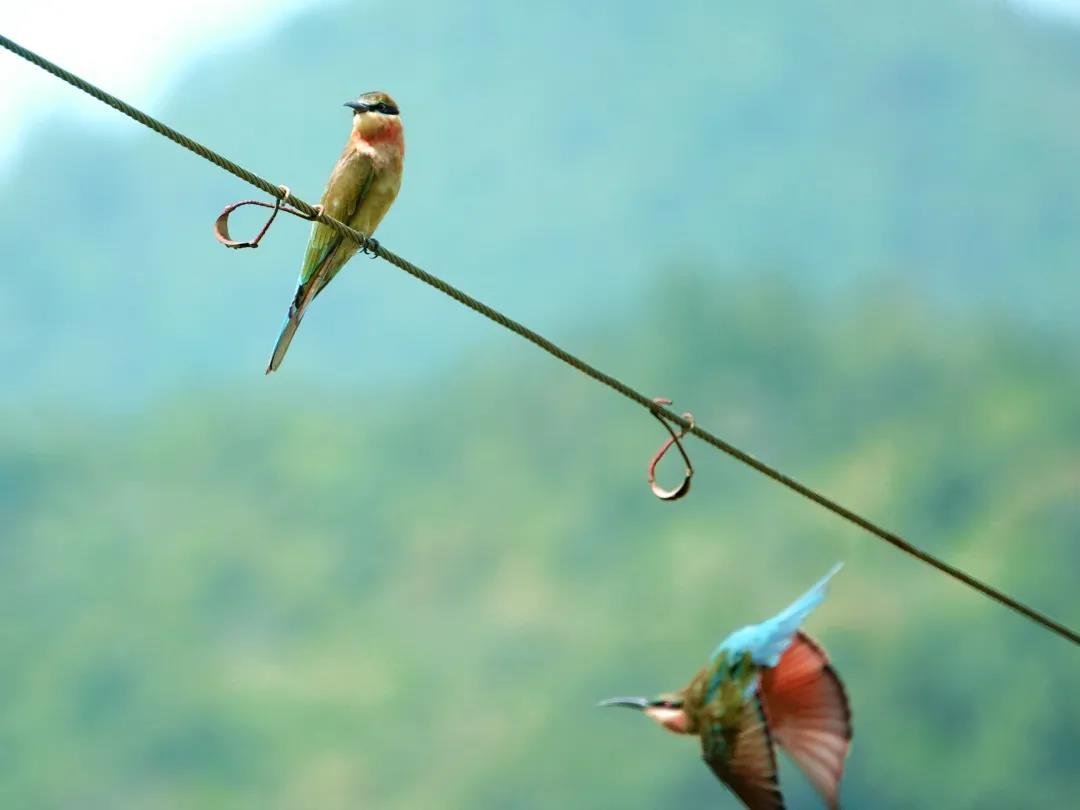 6ed3999da40f77e88bf693d1b550cc60.jpg 005.jpg