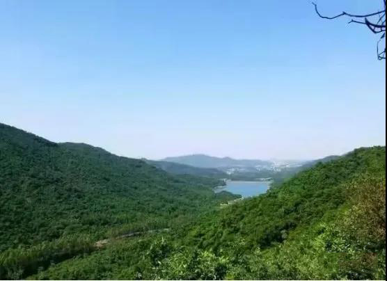 筑牢&ldquo;防火墻&rdquo; 守護生態(tài)屏障&mdash;&mdash;中山啟用森林智能哨衛(wèi)系統(tǒng)