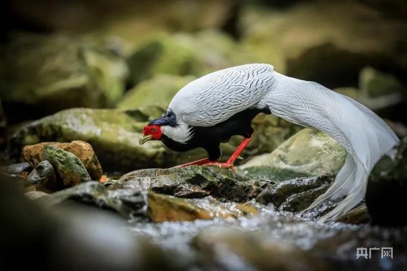 7d45e583b029c2a7724bdb7e8bc4574c.jpg 006.jpg