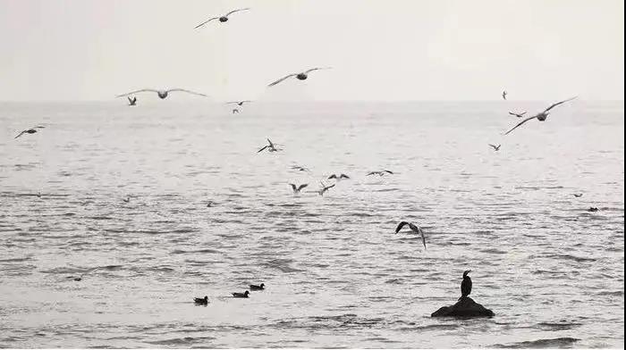 ec81f896502a8407d0416abb71296664.jpg 003.jpg