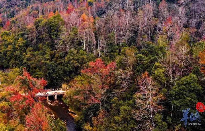 7c24e16c75153ecfa1cca7d444de5b0c.jpg 004.jpg