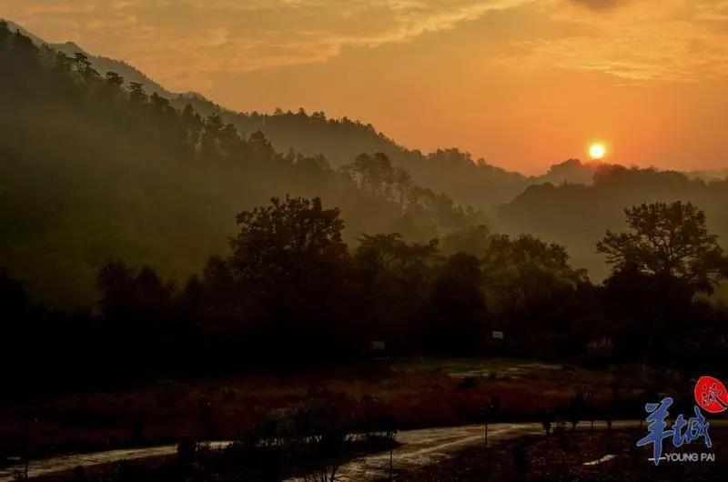 dd15cbaf4c5858cfbefc1e5594568fe2.jpg 006.jpg