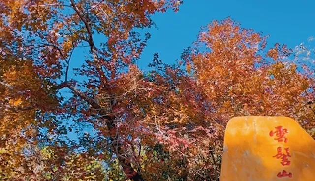 539fd42c2c50350a83d2c8916414faa0.jpg 003.jpg