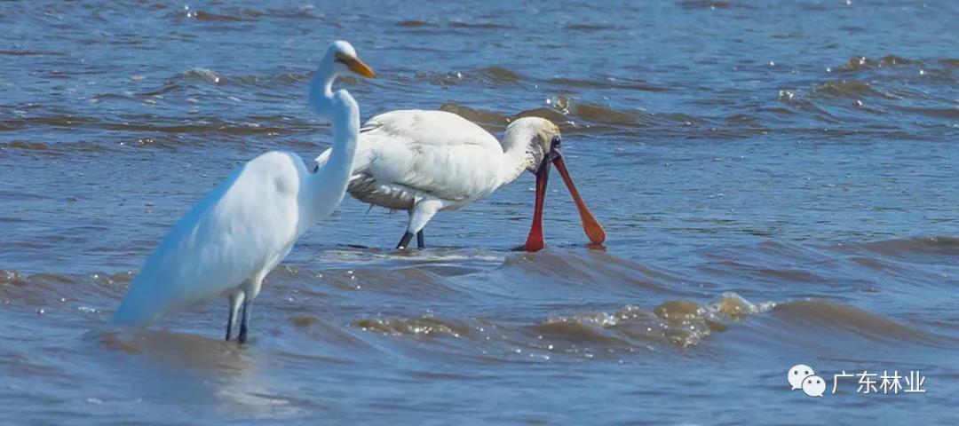 f91e806f2568141ea7494c7fe9f0542d.jpg 002.jpg