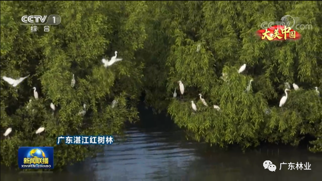 a5fdb7c6d23bd97f331faa01cbf6f1c2.png 002.png