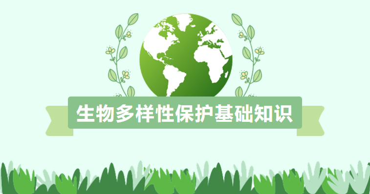 生物多樣性保護基礎知識
