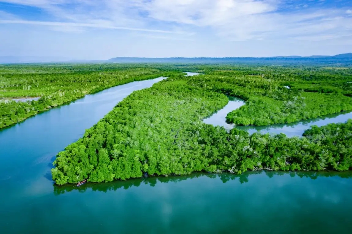 2021年中國自然保護(hù)地十件大事