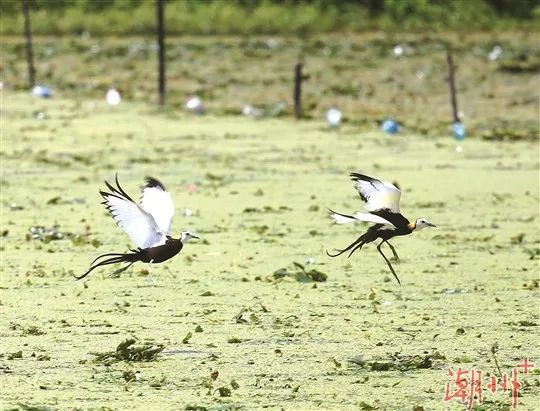 c70fea0687bdf6305a32905482d1cfee.jpg 002.jpg