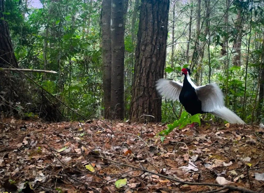 a66b9f63258c13e6fef415eb72d9806d.jpg 004.jpg