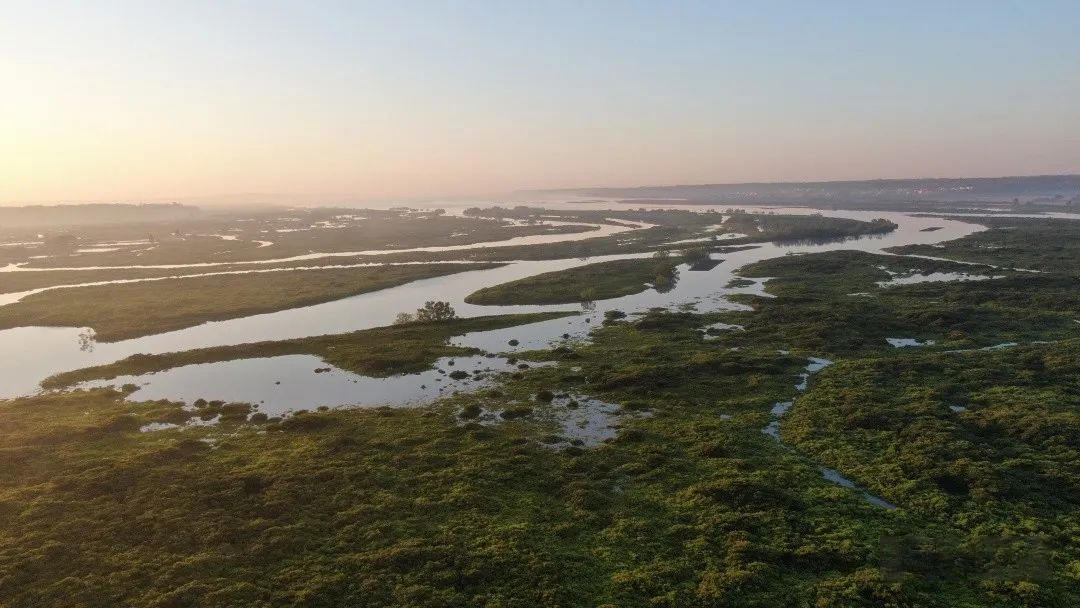 213897ff8a9b1c870a24bb1096397f68.jpg 002.jpg