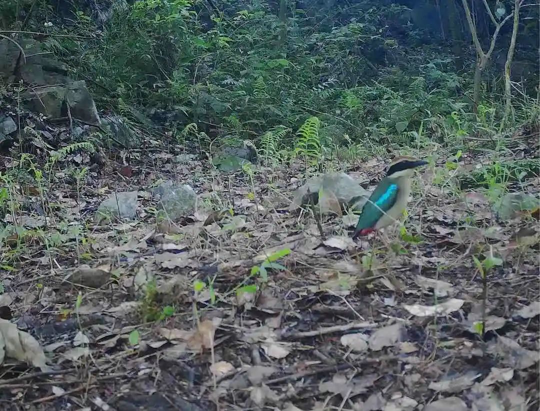 70b40f57b62c2afbffd163bccf02520c.jpg 002.jpg